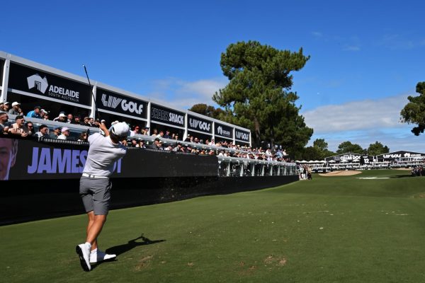 Everything You Need To Know