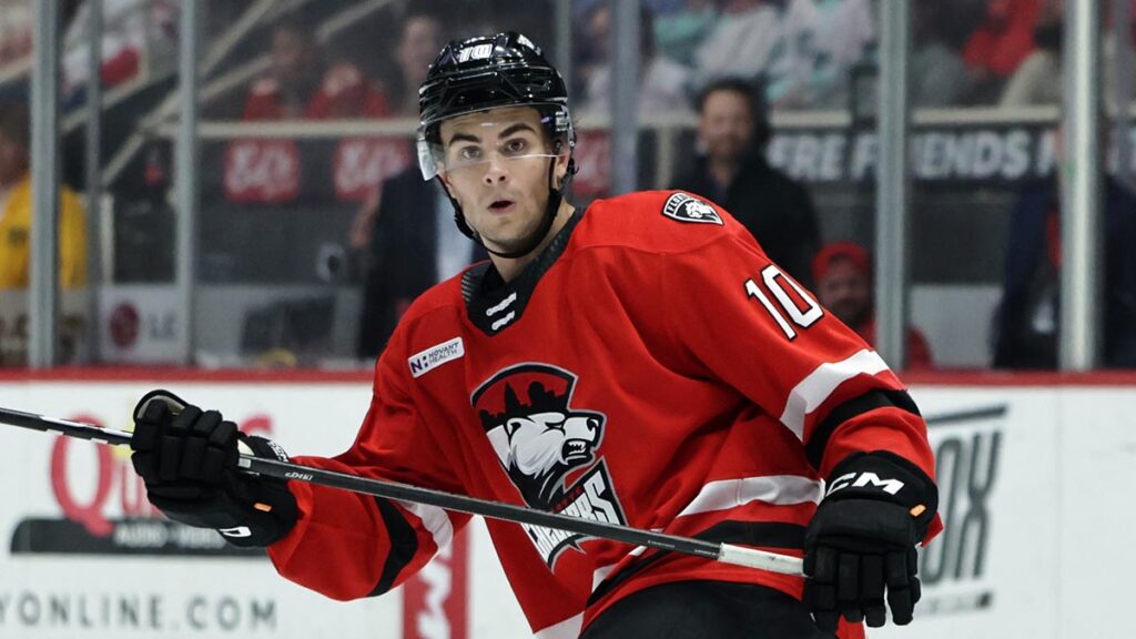 Late Lockwood strike gives Game 1 to Checkers | TheAHL.com