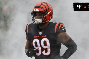 Bigger, Smarter, Calmer - Bengals