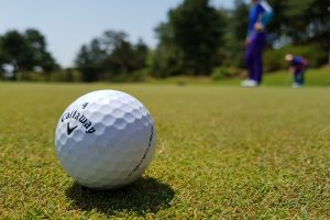 How to Bet on Golf - Golf News
