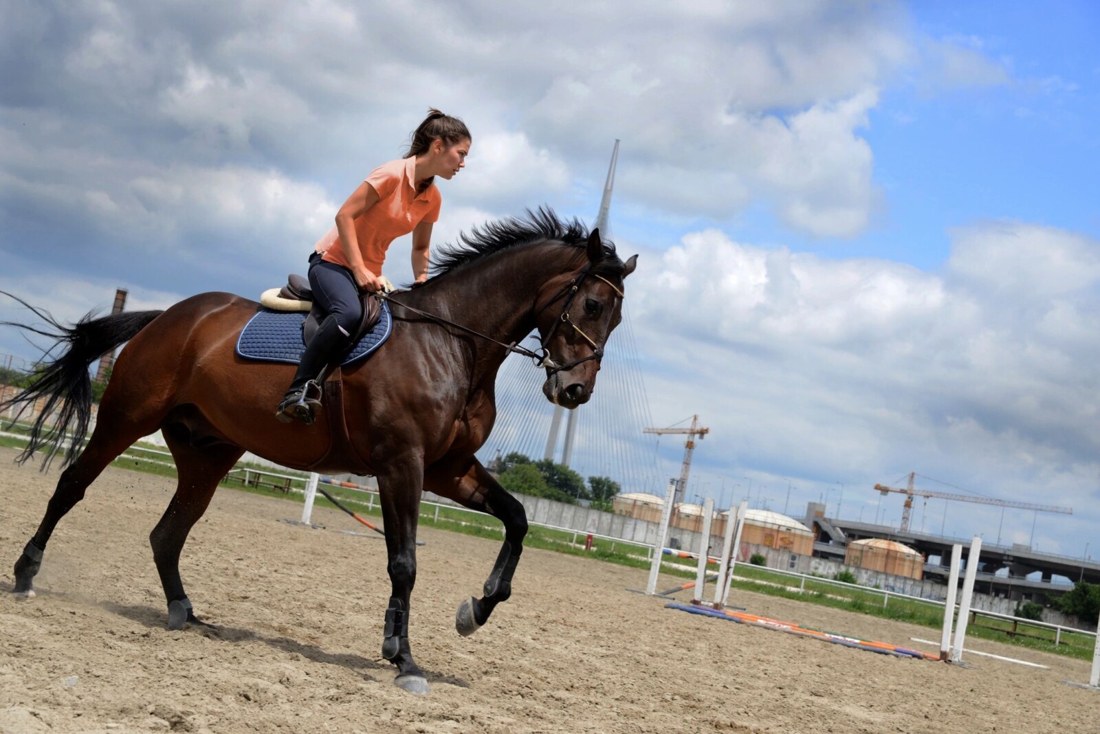 Five Things to Consider Before Building a Riding Arena - Golf News