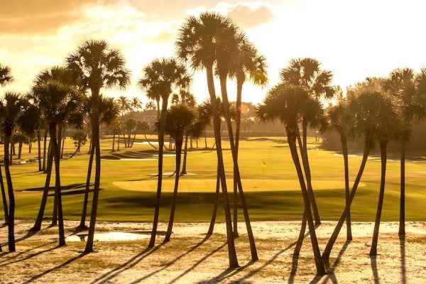 A sparkling masterpiece - Global Golf Post