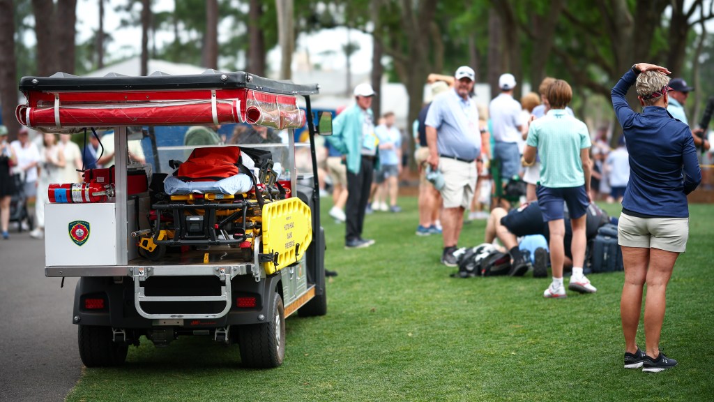Stray Sepp Straka tee shot inadvertently hits retired teacher in head