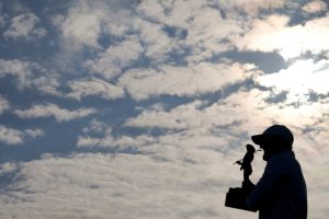 Scottie Scheffler is now 10th all-time