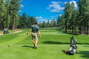 Benefits of Nutrition and Supplements for Golfers - Golf News