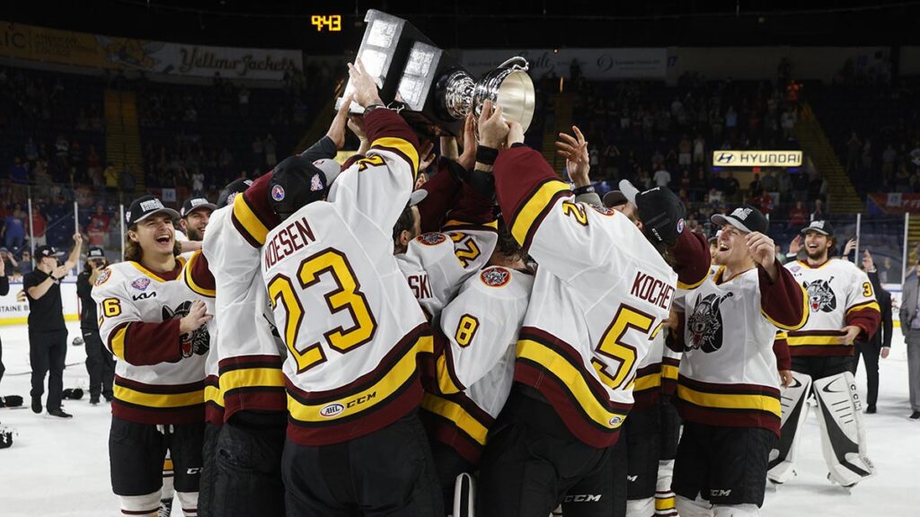 Wolves, Hurricanes announce affiliation agreement | TheAHL.com