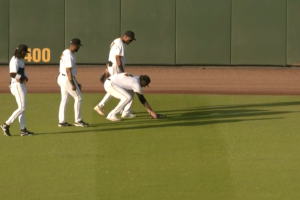 And Then One Person Was Like, “Is That a Turtle?’”