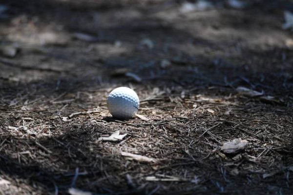 Blaine Hale odds to win the Myrtle Beach Classic