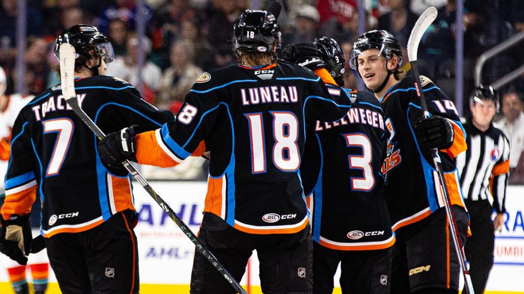 Paterson tasked with helping Gulls get back to winning | TheAHL.com