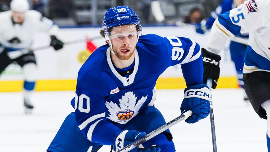 Stars acquire Ellis from Maple Leafs | TheAHL.com