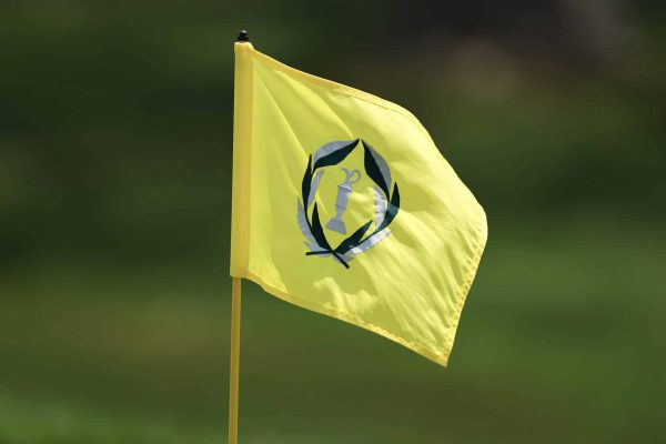 Everything You Need To Know