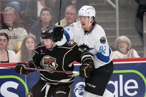 All on the line for Bears, Monsters in Game 7 | TheAHL.com