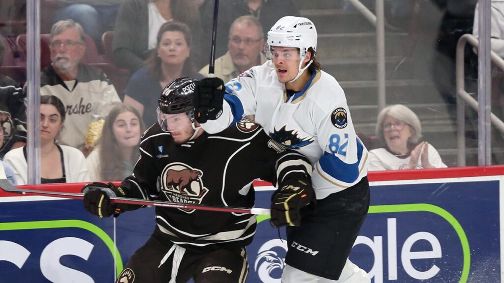 All on the line for Bears, Monsters in Game 7 | TheAHL.com