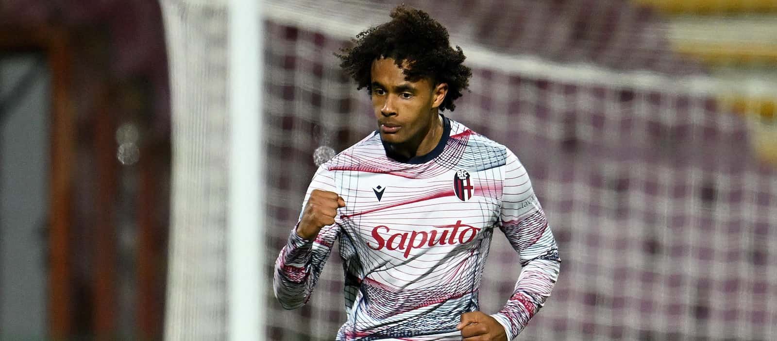 Joshua Zirkzee: Bologna striker emerges as the priority target for Manchester United - Man United News And Transfer News