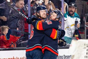 Firebirds ready for biggest challenge yet | TheAHL.com