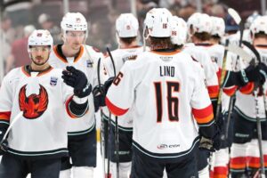 ‘Crushing’ end won’t overshadow Firebirds’ season | TheAHL.com