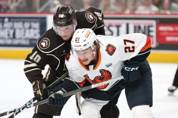 Series square, but Nelson still hoping to get more from his Bears | TheAHL.com