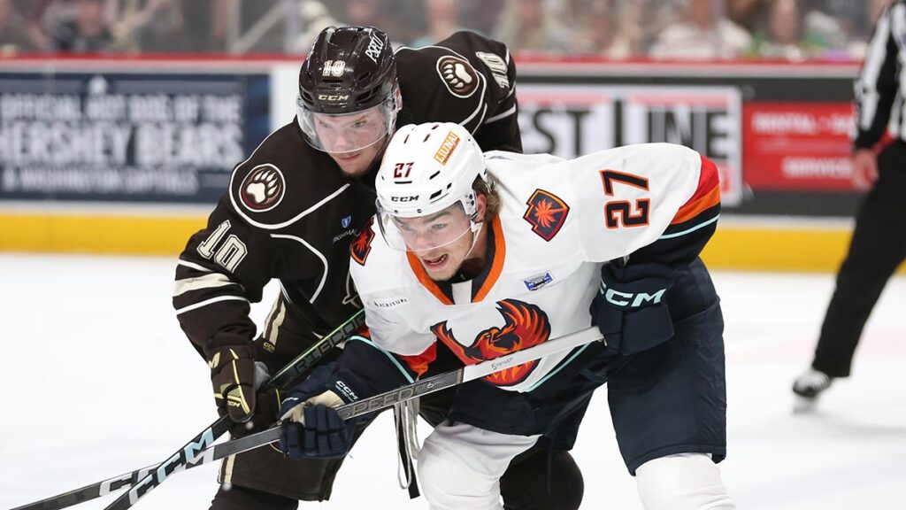 Series square, but Nelson still hoping to get more from his Bears | TheAHL.com