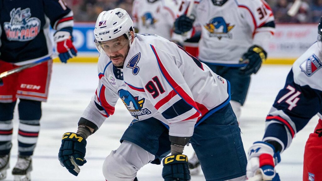 Flames sign Frk to one-year deal | TheAHL.com