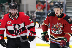 Utah acquires Sokolov, Senators get Jenik | TheAHL.com