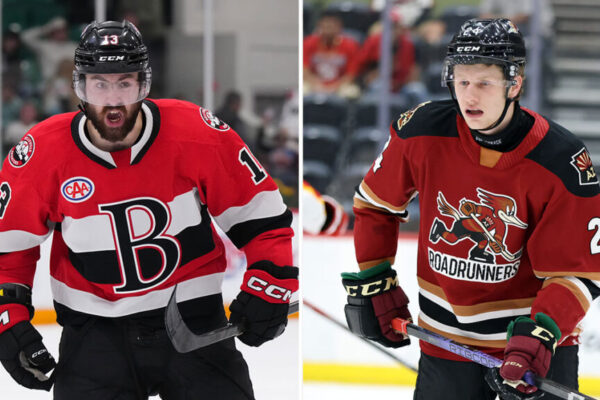 Sokolov traded to Utah, Jenik joins Senators | TheAHL.com Utah acquires Sokolov, Senators get Jenik | TheAHL.com