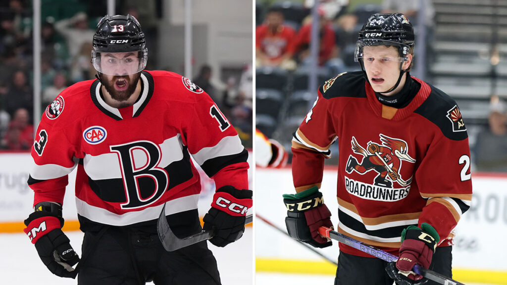 Utah acquires Sokolov, Senators get Jenik | TheAHL.com