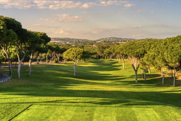 Renovation Improves Vilamoura’s Old Course – Golf News Vilamoura's Old Course benefits from major renovation - Golf News