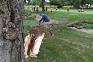 Large tree limb falls, strikes spectator at Firestone Country Club