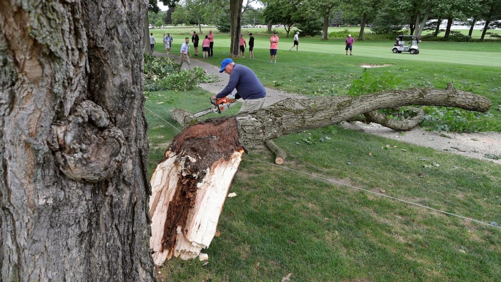 Large tree limb falls, strikes spectator at Firestone Country Club