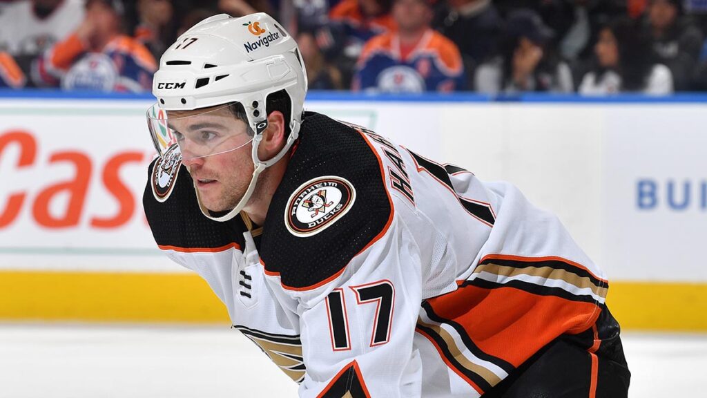 Thunderbirds sign defenseman Harrington | TheAHL.com