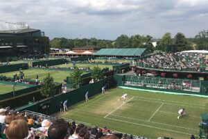 Sports betting: Individual vs Team sports