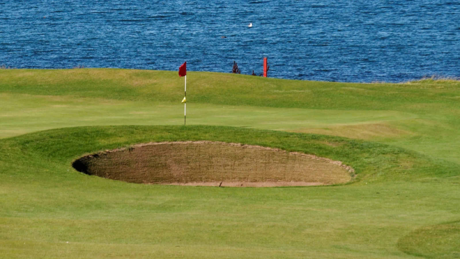 WATCH: How to escape a pot bunker in several painfully complicated steps