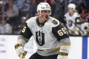 Rocket sign Hayes to AHL contract | TheAHL.com