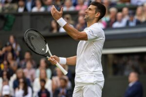 Djokovic Requests Wimbledon Security To Eject Fan From Court