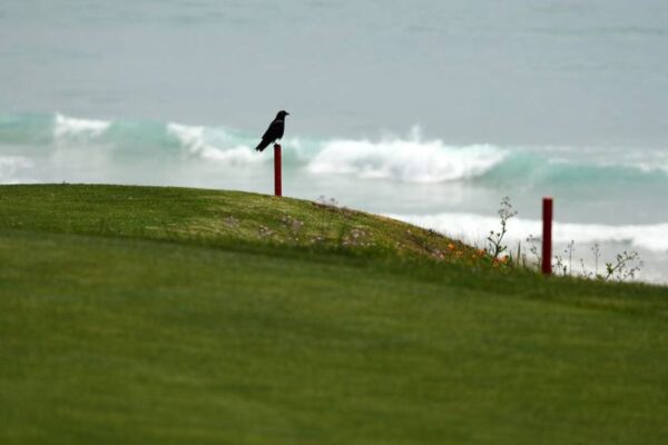 Gigi Stoll tee times, live stream, TV coverage