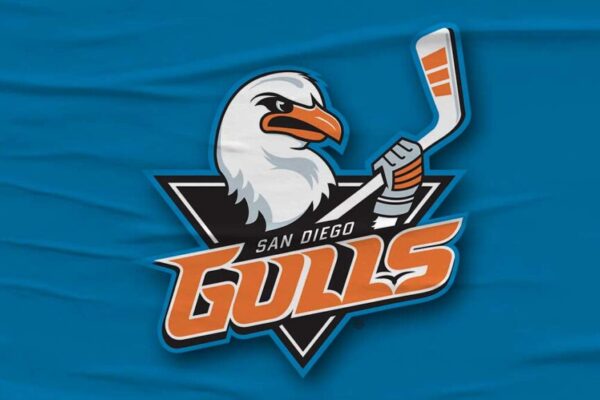 Gulls ink four to AHL contracts | TheAHL.com