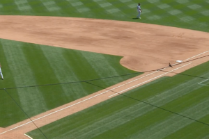 I Saw a Bird | FanGraphs Baseball