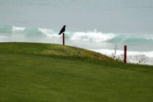 Yue Ren tee times, live stream, TV coverage