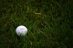 Man drives SUV onto Delaware golf course, hits passenger in cart