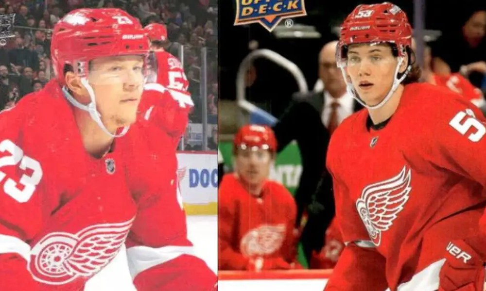 Hold-Up With the Red Wings' RFAs Has Fans Asking Questions