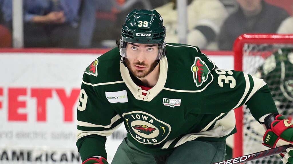Firebirds sign Ottenbreit | TheAHL.com