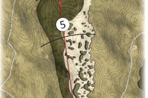 GrayBull satisfies naturally in Nebraska Sandhills