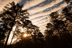 Family of Pennsylvania golf pro killed by tree gets $9.1M settlement