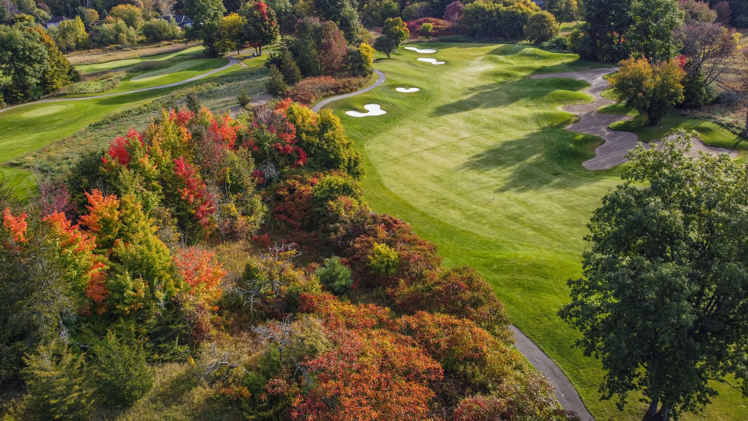 2024 Canadian All Abilities Championship set for Timber Ridge Golf Course