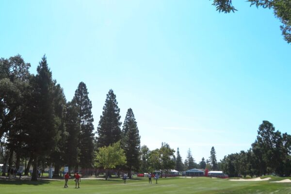 Presidents Cup players in the field at Napa