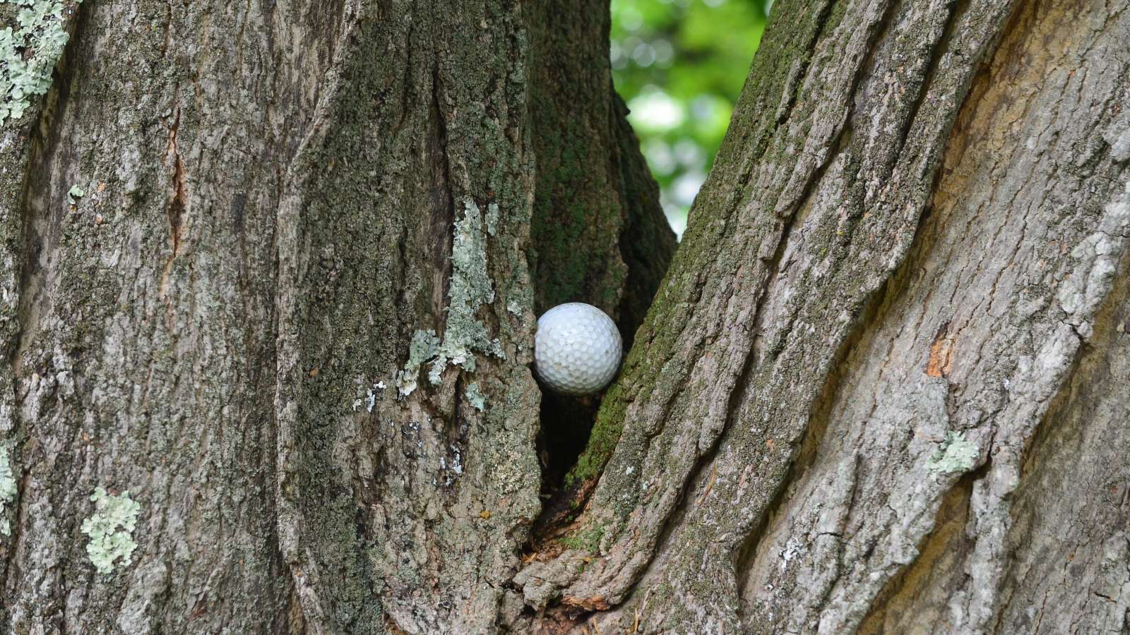 WATCH: What are the four options when you declare a ball unplayable? The rules explained