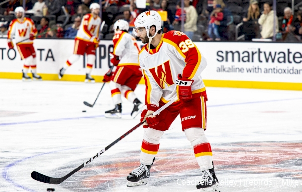 AHL Players Making An Impact In Western Conference NHL Training Camps