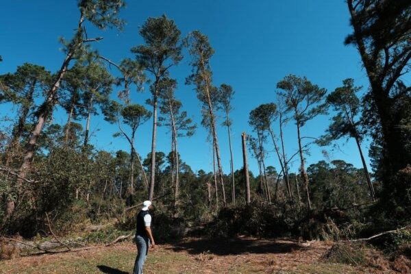 Augusta National, others still digging out from Hurricane Helene