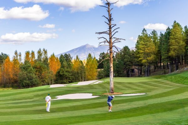Capturing the Vibrant Fall Foliage on Golf Courses: A Stunning Visual Display Photos of the changing leaves on golf courses