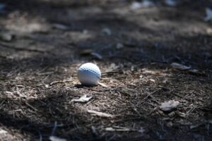David Bradshaw odds to win the Black Desert Championship
